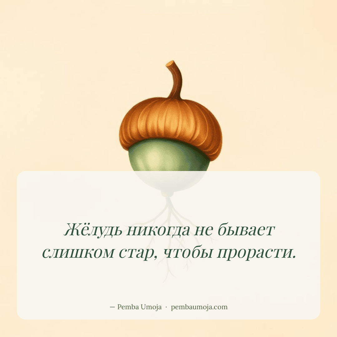 Жёлудь никогда не бывает слишком стар, чтобы прорасти.