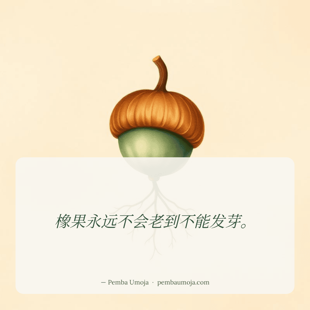 橡果永远不会老到不能发芽。