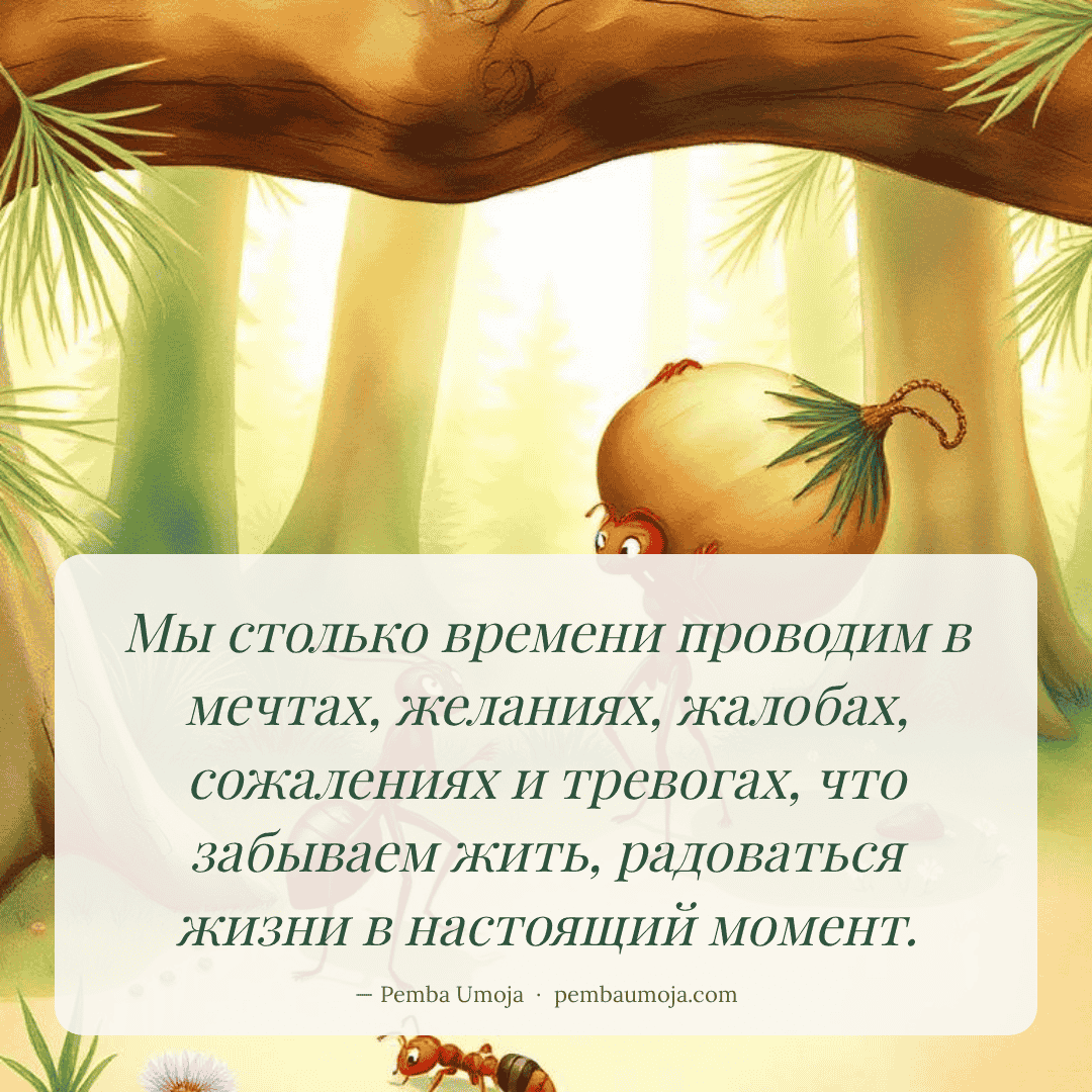 Мы столько времени проводим в мечтах, желаниях, жалобах, сожалениях и тревогах, что забываем жить, радоваться жизни в настоящий момент.